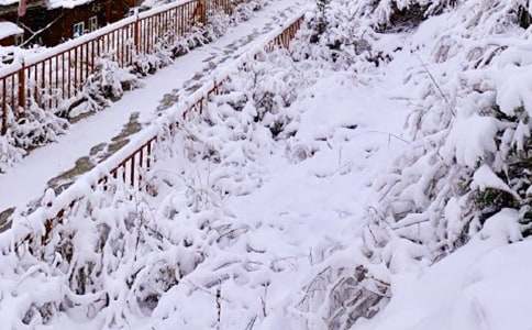 梦见八月下雪