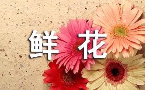 梦见送鲜花给别人