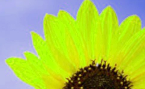 �μ����տ����š�
