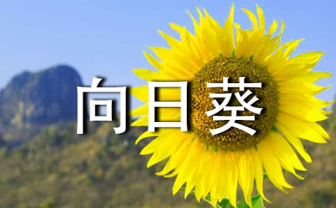 �μ����տ�