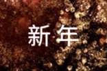 贺新年的文案