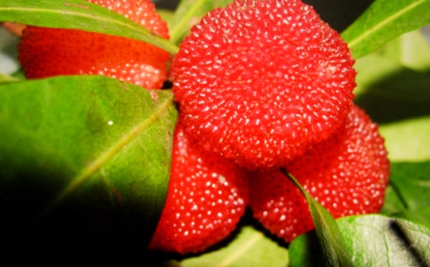 �μ���÷����