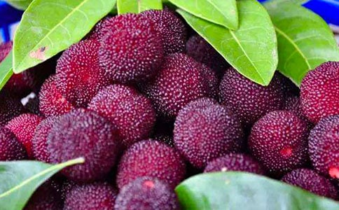 �μ���÷[�Ƽ�]