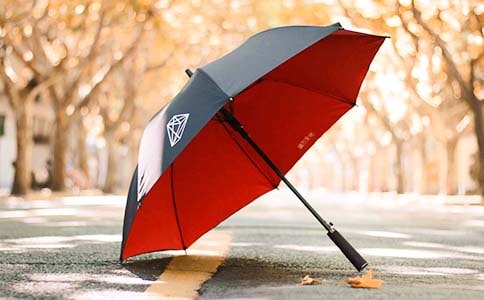 梦见雨伞 雨和伞