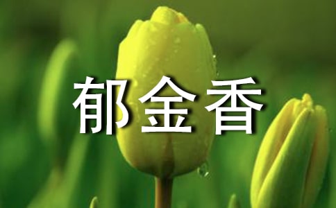 梦见郁金香