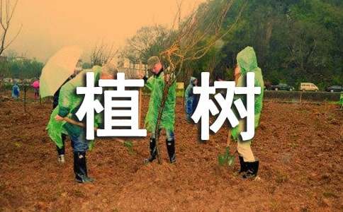 梦见植树造林