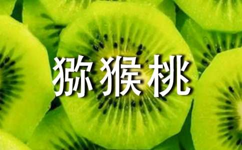 怀孕初期能不能吃猕猴桃
