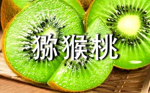产妇能吃猕猴桃吗