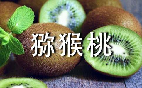 猕猴桃怎么辨别好坏