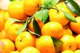 梦见好多黄色的橘子
