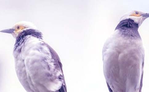 �μ�����ȥ�����ų���