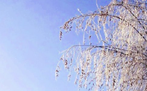 http://www.92nx.com/yuer/190734.html