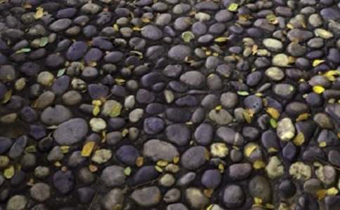 �μ��Ҷ���ʯ