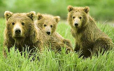 �μ�������ȥ