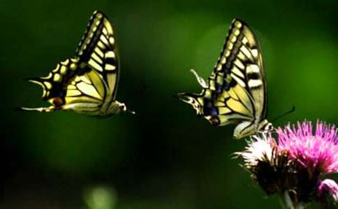 �μ�������׷