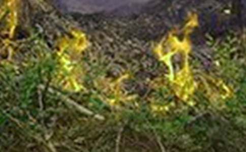 �μ���������