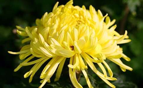 �μ��ջ�����