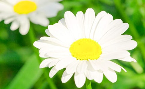 http://www.92nx.com/jiemeng/174834.html
