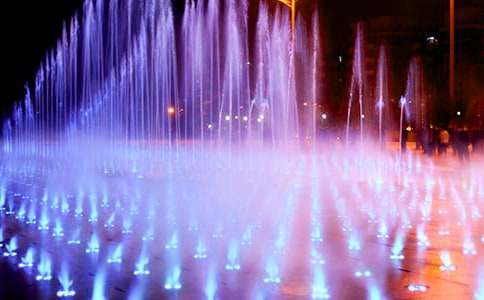 梦见喷泉周围长树苗