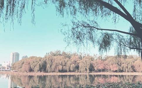 �＾���ֹ����Լ���Ԥ��