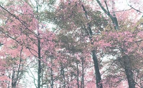 �＾������ε���