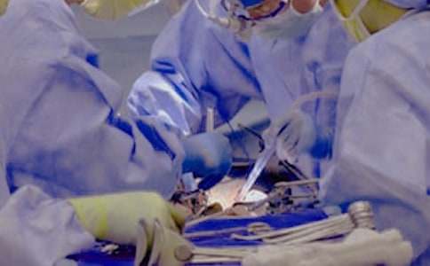 �μ��Լ����Ӷ�����