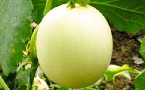 �μ����˳����