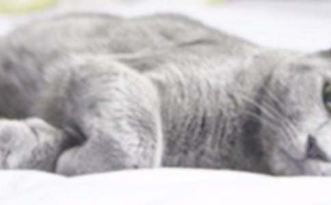 �μ�è��������Сè�����㡿