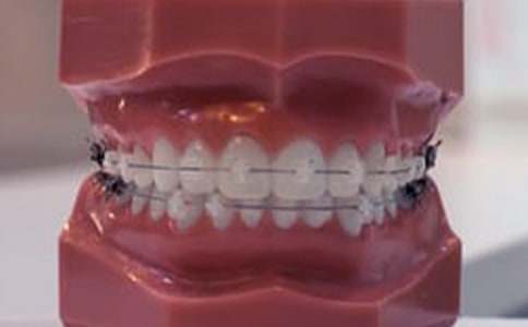 ����������ѪҪע��