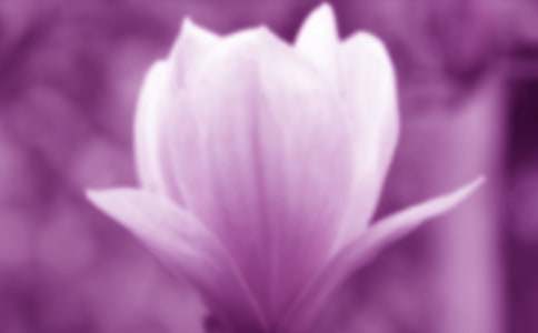 �μ��������� ������