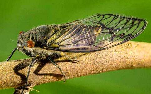 �����˲�֪���ܲ��ܳ����ƺ�֪�ˣ�