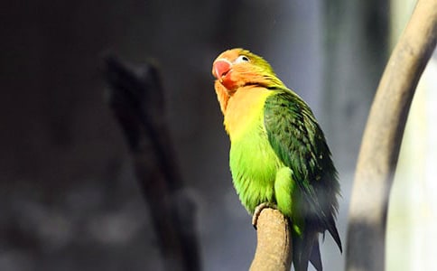 http://www.92nx.com/jiemeng/169440.html