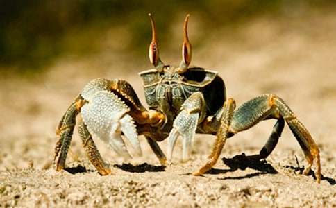 �����ڿ��Գ��з��